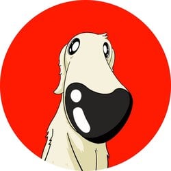 Borzoi
